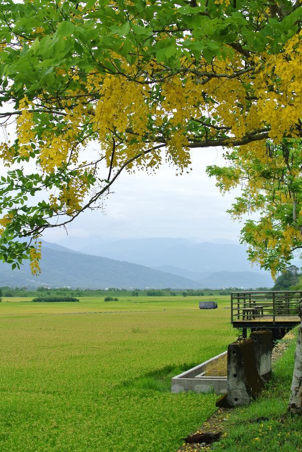 Pu Shi Homestay Yuli Eksteriør bilde